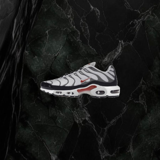 Nike Air Max ‘Grey’