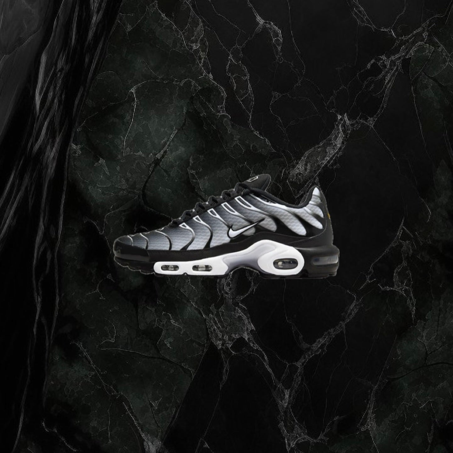 Nike TN ‘Black & White’