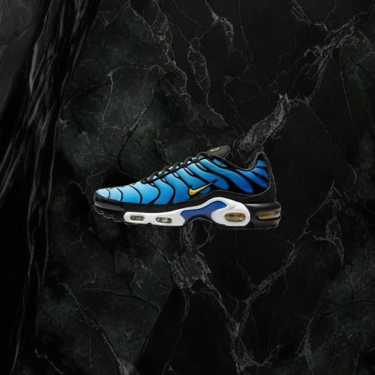 Nike TN ‘Blue’
