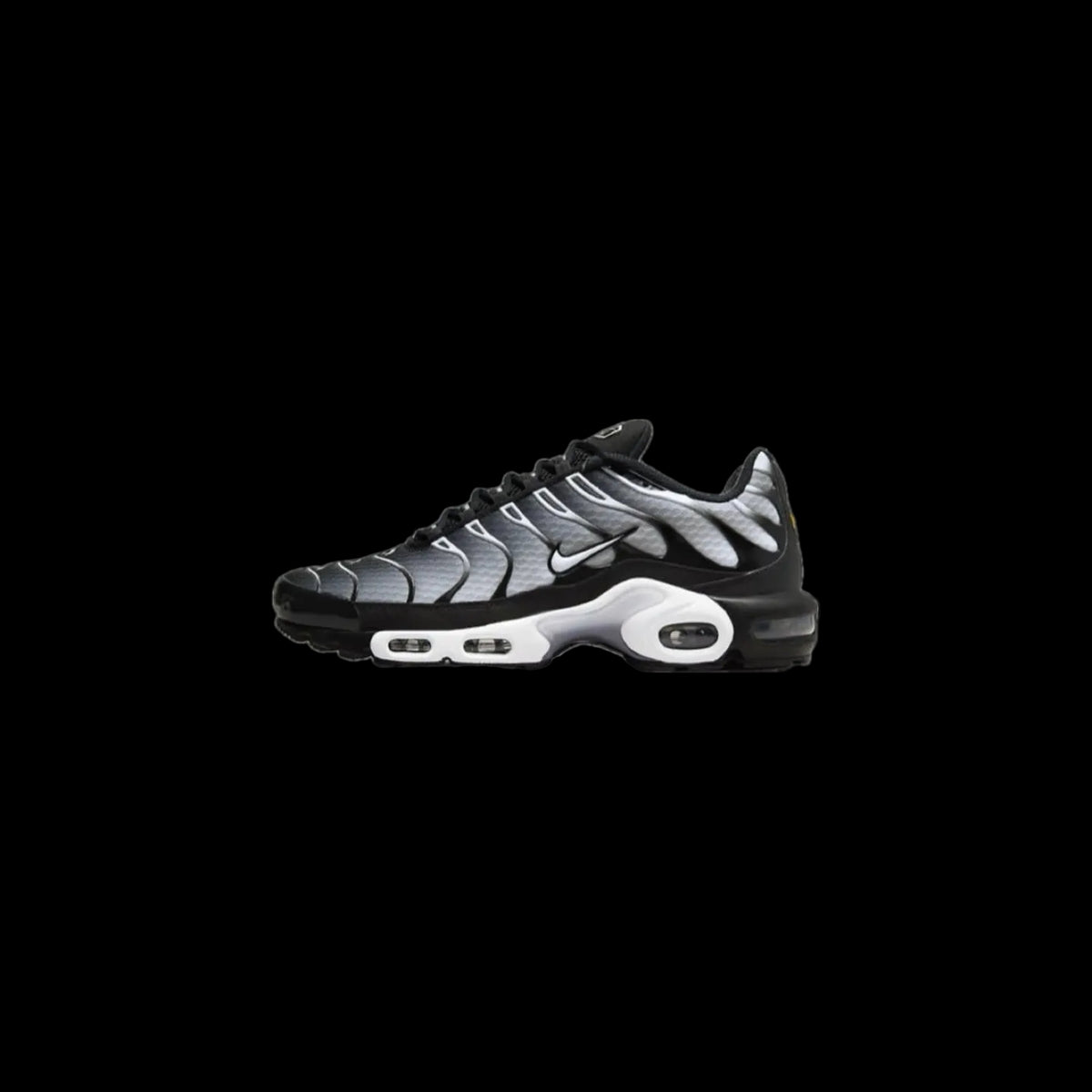 Nike TN ‘Black & White’