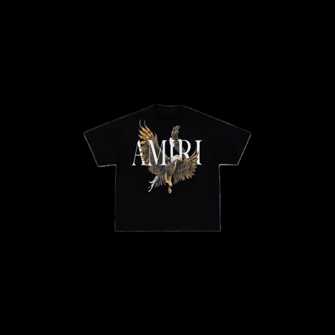 Amiri T-Shirt